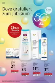 Dm Flugblatt Seite 18