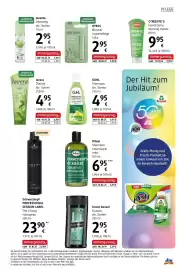 Dm Flugblatt Seite 19