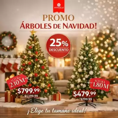 Modatelas (válido hasta 17-11)