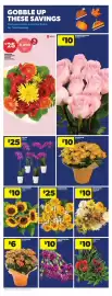 Real Canadian Superstore flyer Page 11: Small mixed bouquet €10,00, Orchid €25,00