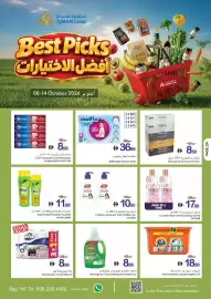 Ajman Market catalogue week 41 Page 24