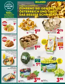 Billa Flugblatt woche 41 Seite 6