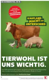 Kaufland Prospekt woche 41 Seite 32
