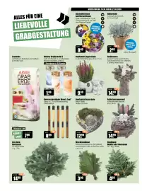 V Baumarkt Prospekt woche 42 Seite 2: Bepflanzte Engelschale €9,99, Bepflanzte Herzschale €12,99