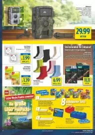 Diska Prospekt woche 42 Seite 11: Wildkamera €29,99, Gut & Günstig Teelichte €3,99