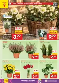 Netto Marken-Discount Prospekt Seite 10