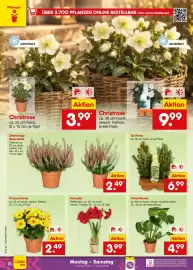 Netto Marken-Discount Prospekt Seite 10