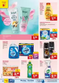 Netto Marken-Discount Prospekt Seite 36