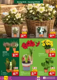 Netto Marken-Discount Prospekt Seite 10