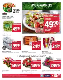 Meny kundeavis uke 41 Side 8: Blåbær/Tyttebær €99,00, Roser, Brudeslør, Hypericum og Grennellik €149,00