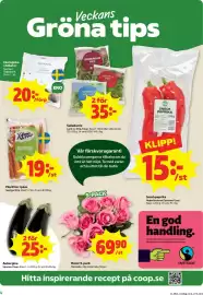 Stora Coop reklamblad vecka 42 Sida 4: Xtra morötter €19,00, Salladsmix €35,00