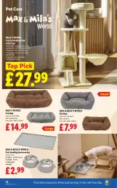 Lidl leaflet week 42 Page 18: Max & Mila's World Pet Bed €7,99