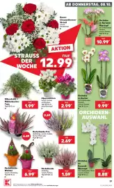 Kaufland Prospekt woche 41 Seite 37