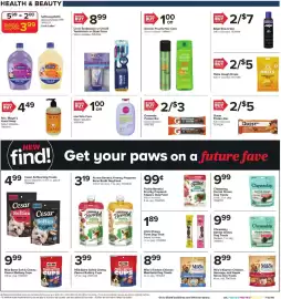 GIANT weekly ad week 41 Page 20: Chewsday dental chews €9,99, Purina Beneful Freshly Prepared Bone Broth Dog Food €19,00
