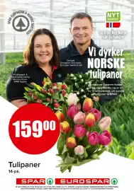 Spar kundeavis uke 41 Side 14: Tulipaner €159,00, Tulipaner €159,00