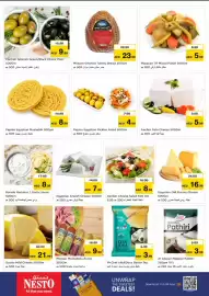 Nesto catalogue Page 17