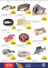 Nesto catalogue Page 19