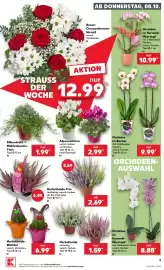 Kaufland Prospekt woche 41 Seite 9