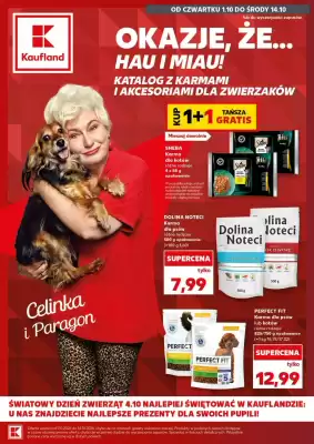 Kaufland gazetka (ważność do 14-10)