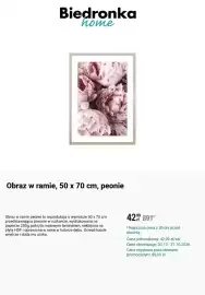 Biedronka gazetka Strona 9