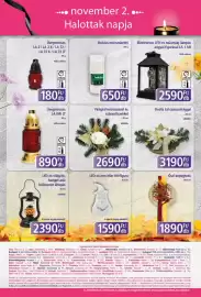 PlusMarket akciós újság Oldal 12: Ovális tál szárazvirággal €3.190,00, Virágtál műrőzsával és szárazdíszekkel €2.690,00
