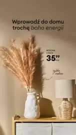Sinsay gazetka Strona 2: Wprowadź do domu trochę boho energii ROŚLINA 3 PACK 3599 tylko online
