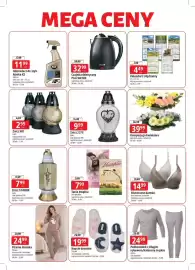 E.Leclerc gazetka | Elblag Strona 2: Kompozycja kwiatowa €39,99, Odmrażacz do szyb Alaska K2 €11,99