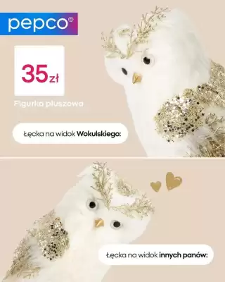Pepco gazetka (ważność do 22-10)