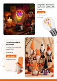 Volantino Kasanova Pagina 19: Gnomi autunnali e Halloween €3,45