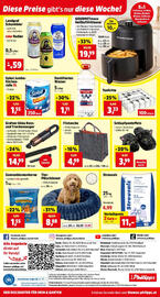 Thomas Philipps Prospekt woche 42 Seite 14: Filztasche €4,99, Grafner Akku Nass- und Trockensauger €14,99