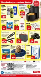 Thomas Philipps Prospekt woche 42 Seite 14: Filztasche €4,99, Grafner Akku Nass- und Trockensauger €14,99
