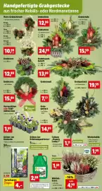 Thomas Philipps Prospekt woche 42 Seite 5: Grüner Jan Graberde €2,99, Hornveilchen oder Stiefmütterchen €1,99