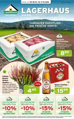 Salzburger Lagerhaus Flugblatt (gültig bis 17-10)