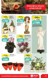 Auchan akciós újság hét 41 Oldal 49
