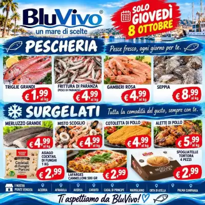 Volantino BluVivo (valido fino al 8-10)