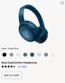 Bose Flugblatt Seite 2
