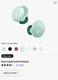 Bose Flugblatt Seite 6