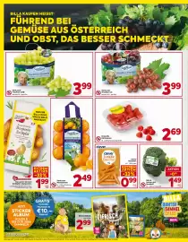 Billa Box Flugblatt woche 41 Seite 4