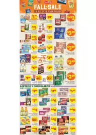 Supermercado Nuestra Familia weekly ad week 41 Page 4: Yogurs Danimals €5,49, Our Family Dry Pinto Beans €3,99