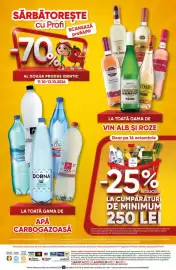 Catalog PROFI săptămâna 41 Pagină 18
