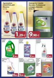 Volantino Docks Cash&Carry Pagina 28: Sgrassatore universale Chanteclair €1,29