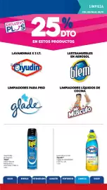 Catálogo La Anonima Página 27: Ayudín lavandina en gel €1.000,00, Raid insecticida en aerosol €1.000,00