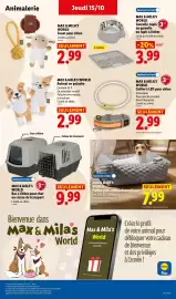Catalogue Lidl semaine 42 page 45: MAX & MILA'S WORLD Bac à litière pour chat ou caisse de transport €9,99