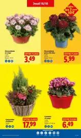 Catalogue Lidl semaine 42 page 41