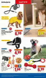 Catalogue Lidl semaine 42 page 43