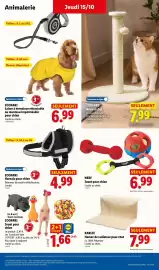 Catalogue Lidl semaine 42 page 43