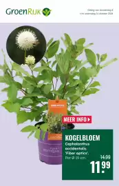 GroenRijk folder week 41 Pagina 1: Kogelbloem €11,99