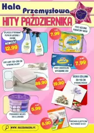 Hale Banacha gazetka Strona 6: Koc Lady €89,90, Zielko Płyn do łazienki Cytrynowy €12,99