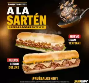 Catálogo Subway Página 3