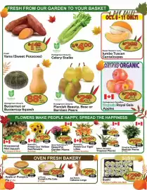 The Garden Basket flyer Page 2: La Rocca Pumpkin Pie Cake €29,99, Beautiful Fresh Cut Yellow Sunflowers Bunches €12,00